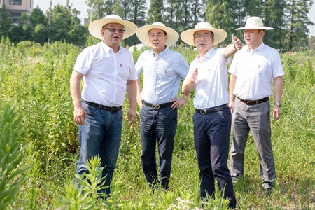 運河農場_副本.jpg 運河農場_副本.jpg