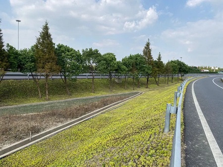 三化一平3.jpg 三化一平3.jpg